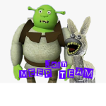 Meep team