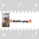 BaddieGang~