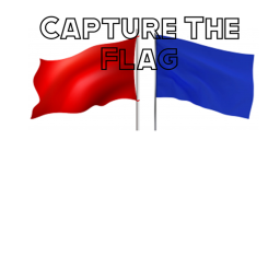 Capture The Flag (BETA)