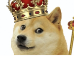 Doge King Gang