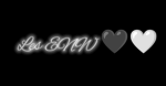 Les ENW