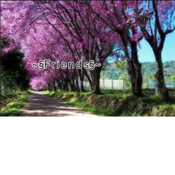 My frst game