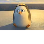 The lil Penguins x