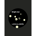 Bright star horse academy