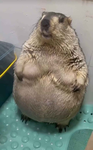 Grupo para conversar :>