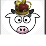 COOL COW LIFE