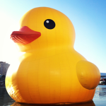 Royale High Duckies