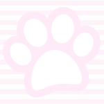 kttnclaw