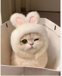 Whitekitty members