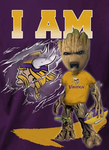 VIKINGS FANS ONLY
