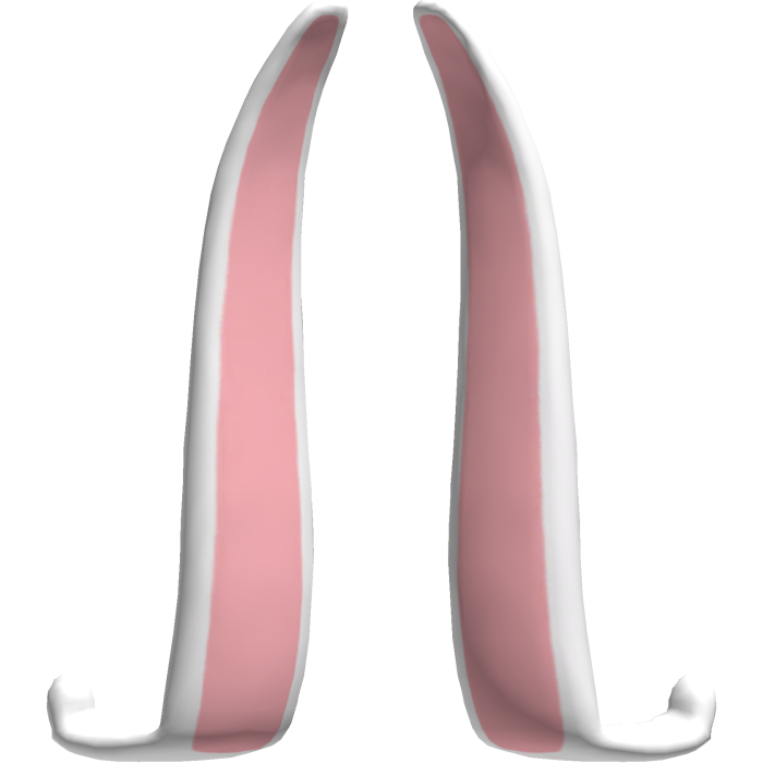Long Bunny Ears