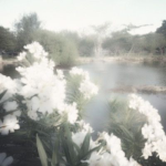 lalalily ୭