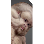 Praefectus Studios ‍