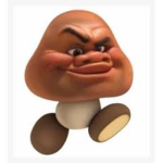 zack storm fan club