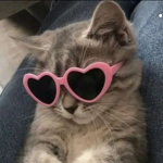 AUXLIQE SHOP