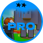 Pro Challenge