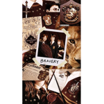 HARRY POTTER FANS <