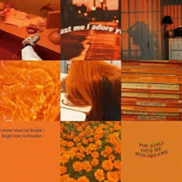 🧡
