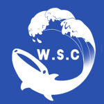 Whale Shark Creations