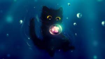 Black Cats Home