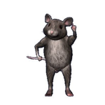 Rats in the Kitchen