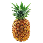 Club Pineapple