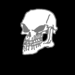 Skull Team*