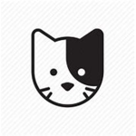 cattio productions