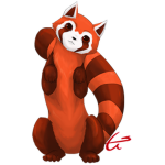 FIRE FERRETS