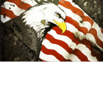 U.S.A of Army
