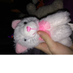 .CatPaws.