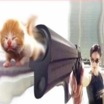 cat gun