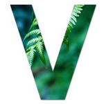 Vile©