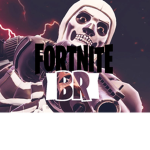 Fortnite BR Fan Group