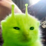 IzzypuppyYT