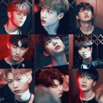 Stray Kids Fan Group