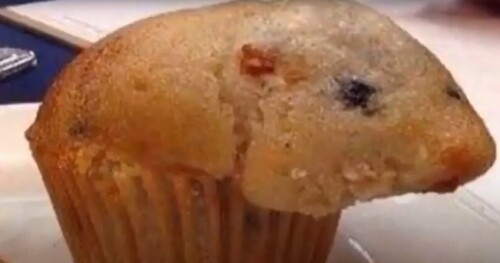 someone baked a hamster into my muffin
