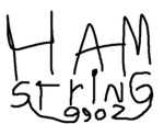 Hamstring's Group of Creations