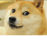 The best meme in the world the doge.
