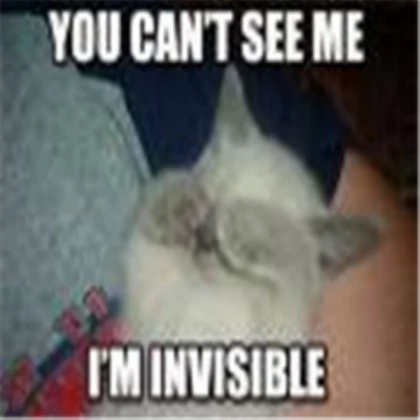 im invisible