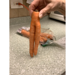 The crazy carrot with multiple legs…