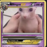 Join if u love bingus