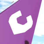 | NOA International Airlines |