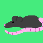 √Team Rats Roblox√