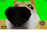 Imposter group for imposter peoples