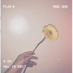 aesthetic poopy