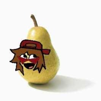 fighting experience (dead)