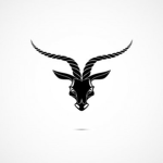 El Goat Studios