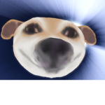 Augh gang