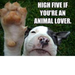 Cute & Funny Animal <3